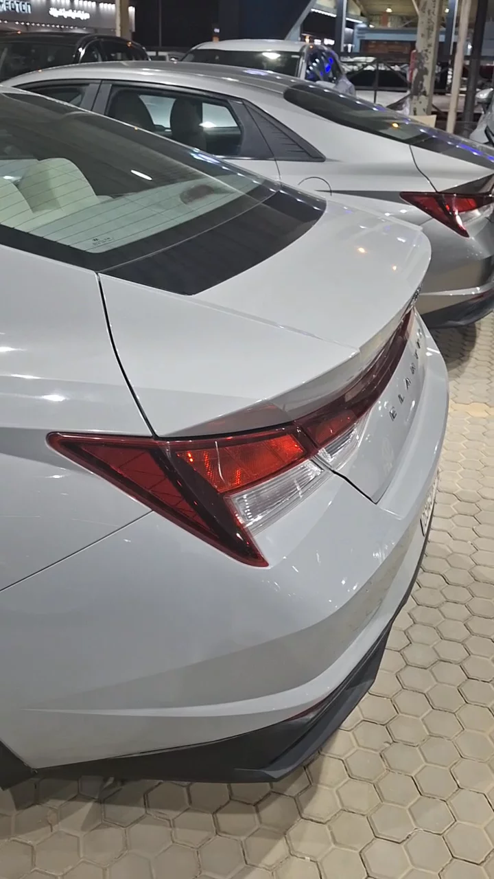 Hyundai Elantra fleet 2023